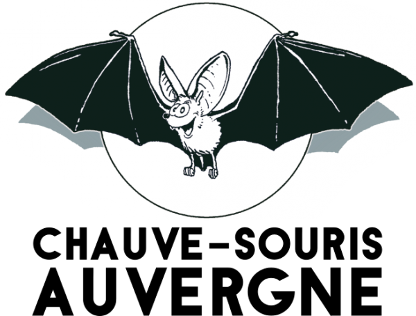 chauve-souris auvergne